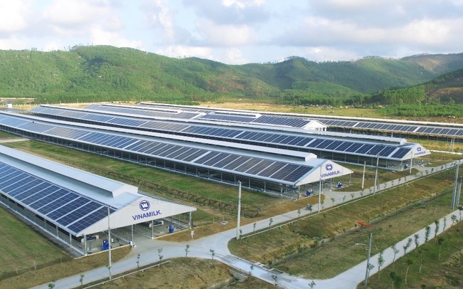 Đầu tư hệ thống điện mặt trời tại toàn bộ các trang trại, Vinamilk đẩy mạnh năng lượng bền vững Đầu tư hệ thống điện mặt trời tại toàn bộ các trang trại, Vinamilk đẩy mạnh năng lượng bền vững