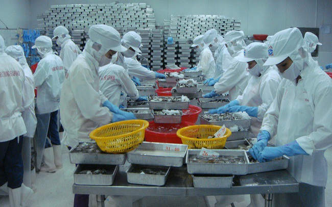 Những thị trường đột phá của tôm Việt 2 tháng đầu năm 2021