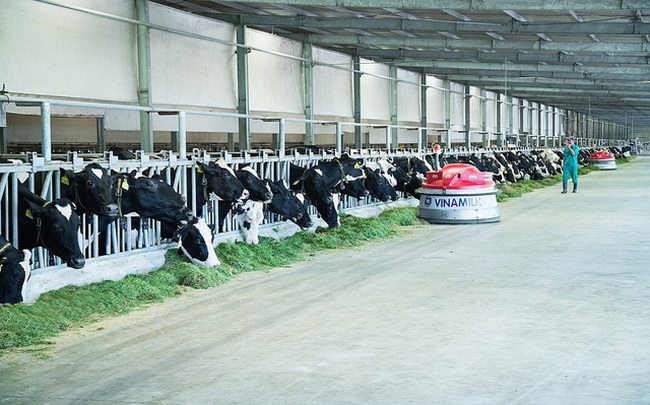 Vinamilk liên tiếp thăng hạng trong Top 50 công ty sữa hàng đầu thế giới Vinamilk liên tiếp thăng hạng trong Top 50 công ty sữa hàng đầu thế giới