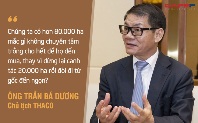 HAGL Agrico (HNG): Doanh thu giảm phân nửa xuống 260 tỷ sau quý đầu tiên do Thaco "cầm lái", 3 tháng thực hiện 12% chỉ tiêu cả năm 2021 HAGL Agrico (HNG): Doanh thu giảm phân nửa xuống 260 tỷ sau quý đầu tiên do Thaco "cầm lái", 3 tháng thực hiện 12% chỉ tiêu cả năm 2021