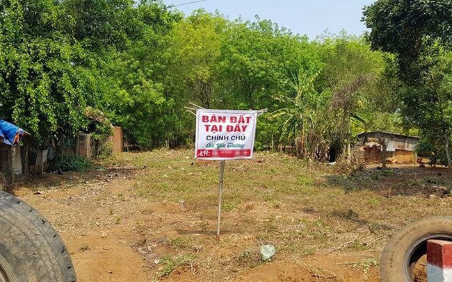 Đất đai tăng nóng, chuyên gia giúp nhà đầu tư phân biệt đâu là tăng thực đâu là tăng ảo