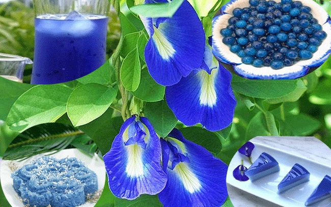 Thứ hoa rụng đầy bờ rào giờ được tiểu thương chợ mạng bán giá gần nửa triệu đồng/kg Thứ hoa rụng đầy bờ rào giờ được tiểu thương chợ mạng bán giá gần nửa triệu đồng/kg