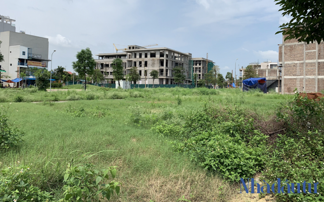 Thị trường bất động sản cần thời gian điều chỉnh lại giá sau cơn sốt đất Thị trường bất động sản cần thời gian điều chỉnh lại giá sau cơn sốt đất