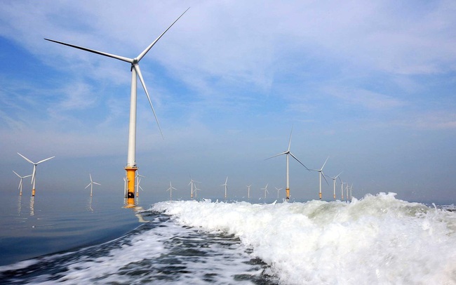 Giá điện có nguy cơ tăng cao nếu thực hiện cơ chế đấu thầu cho các dự án điện gió ngoài khơi ngay lập tức?