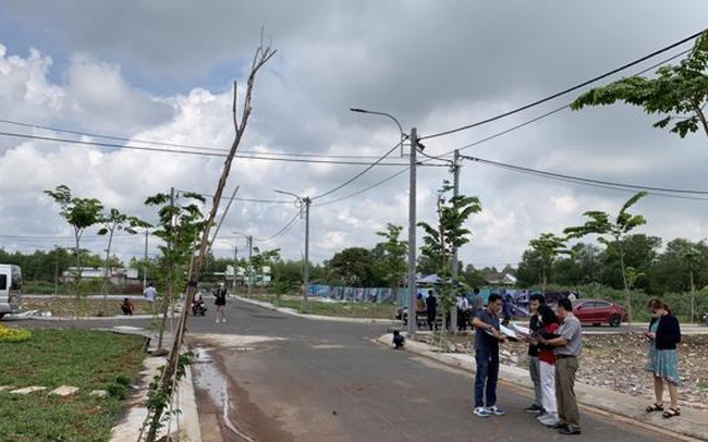 Săn đất nền các tỉnh phía Nam: Tránh tình trạng sau cơn sốt là khu đất hoang