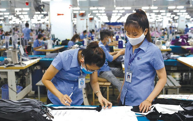Không có đơn hàng khẩu trang, lợi nhuân May Thành Công (TCM) giảm 44% trong tháng 6