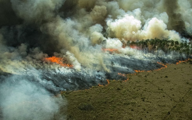 Thải ra nhiều CO2 hơn mức hấp thụ được, các nhà khoa học xác nhận rừng Amazon không còn là 'lá phổi xanh' của Trái Đất