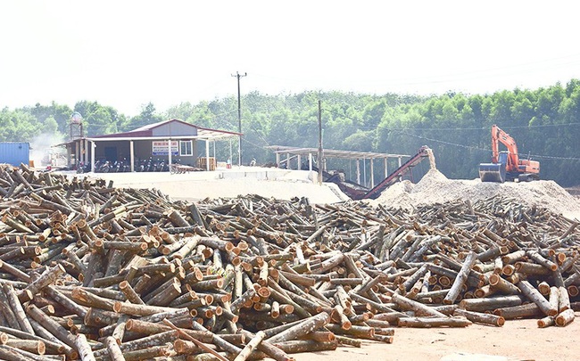 Bộ Tài chính nói 'không' với đề xuất tăng thuế xuất khẩu gỗ