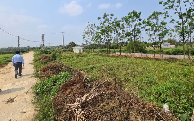 Chớp cơ hội trong cơn sốt đất, từ tay buôn gà phất lên thành đại gia đất ven biển