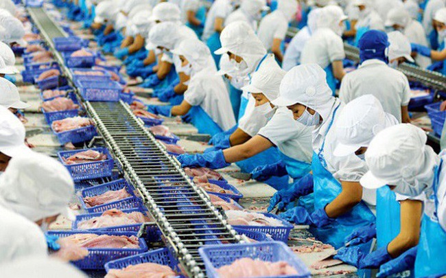 10 DN xuất khẩu cá tra không bị áp thuế chống bán phá giá của Hoa Kỳ