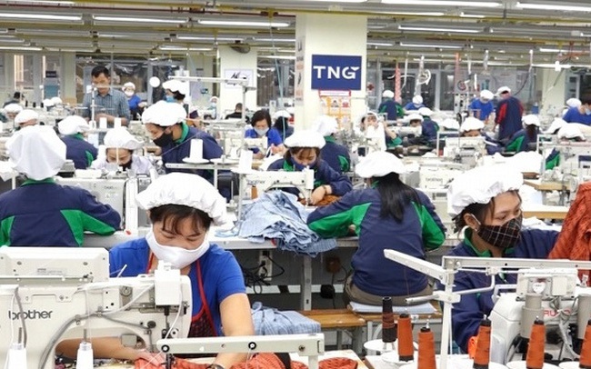 Dệt may TNG báo lãi 8 tháng đầu năm 142 tỷ đồng, hoàn thành 81% kế hoạch lợi nhuận năm