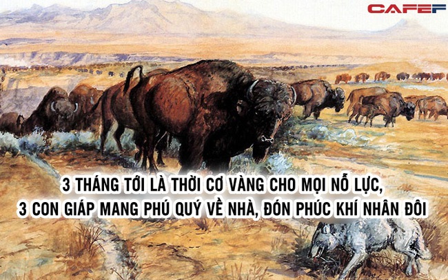 3 tháng tới là thời cơ vàng cho mọi nỗ lực, 3 con giáp mang phú quý về nhà, đón phúc khí nhân đôi 3 tháng tới là thời cơ vàng cho mọi nỗ lực, 3 con giáp mang phú quý về nhà, đón phúc khí nhân đôi