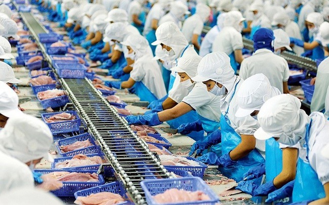 Vĩnh Hoàn: Đổi khẩu vị đầu tư, quý 2/2021 mua KBC, CTG và DXS, vẫn có hơn 1.100 tỷ gửi tiết kiệm ngân hàng