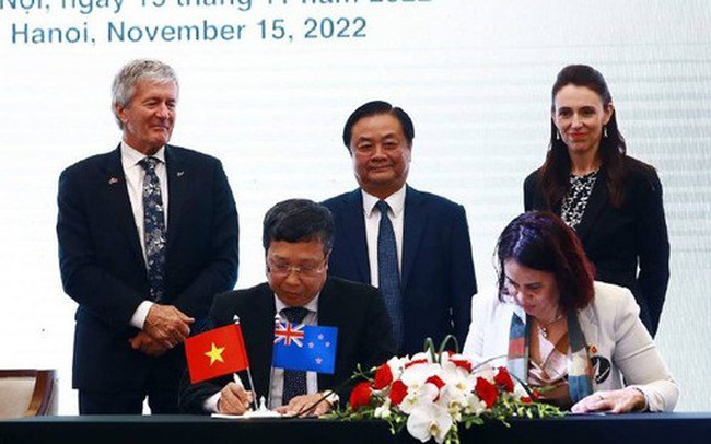 New Zealand chính thức "mở cửa" cho chanh và bưởi Việt Nam