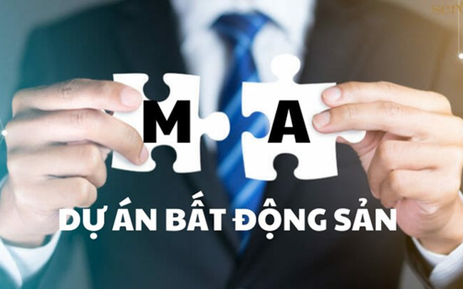 Giá trị M&A bất động sản Việt cao nhất trong vòng 5 năm: Loạt doanh nghiệp lớn Masterise Homes, Keppel Land, CapitaLand Development, Gamuda.…M&A những dự án nào?