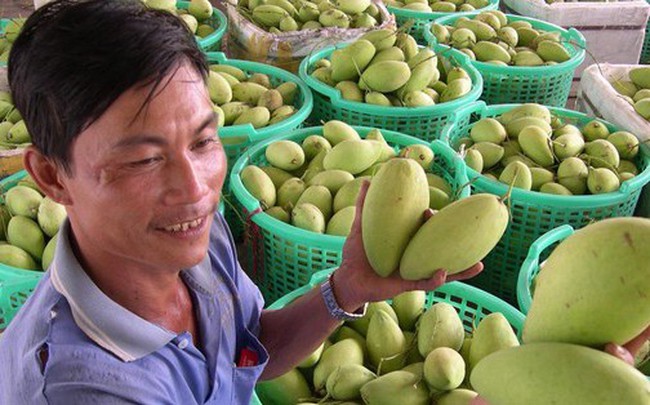 Nông sản Campuchia ‘đổ bộ’ vào Việt Nam