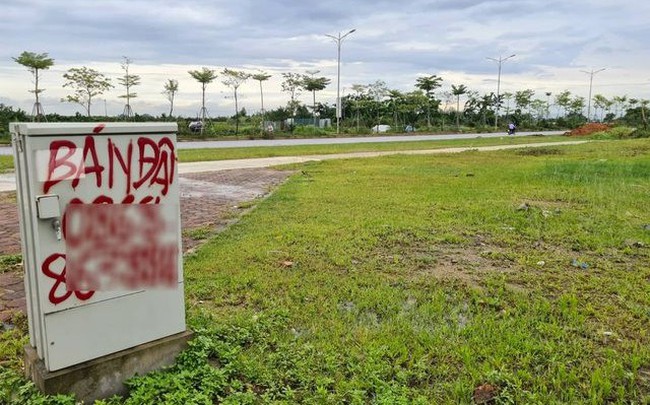 Quận Hà Đông sắp đấu giá 26 lô đất, giá khởi điểm cao nhất từ gần 70 triệu đồng/m2