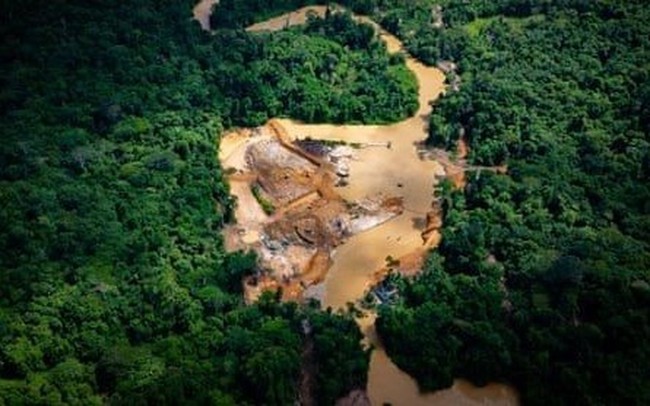 “Con đường dẫn đến sự hỗn loạn” ở Amazon – Nơi nạn đào vàng trái phép tạo ra thảm kịch nhân đạo khủng khiếp