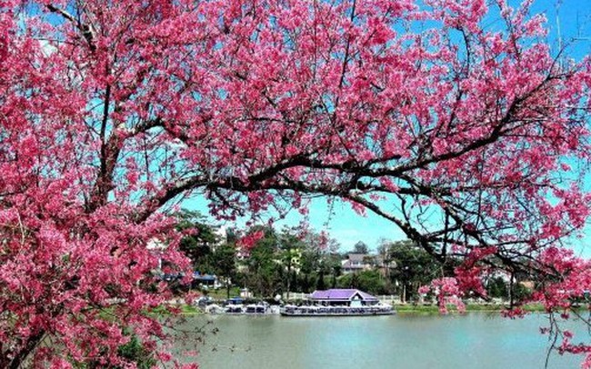 Loạt tin vui, &ldquo;m&ugrave;a xu&acirc;n&rdquo; c&oacute; đến sớm với thị trường bất động sản?