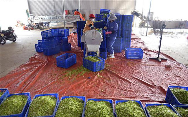 Giảm thuế VAT giúp hỗ trợ doanh nghiệp và người dân trong năm 2023