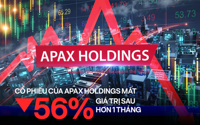 Cổ phiếu IBC - Apax Holdings của Shark Thuỷ mất 56% giá trị sau hơn một tháng, báo cáo tài chính chỉ ra doanh nghiệp còn lại bao nhiêu tiền?