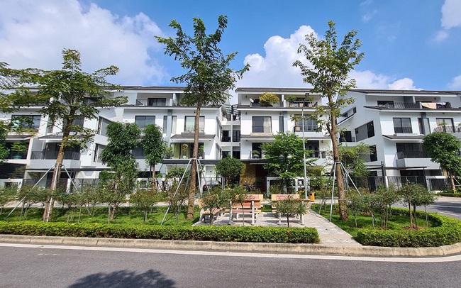 "Giá biệt thự tăng 3-4 lần nhưng chủ nhà không chịu bán: Đơn giản vì họ không cần hoặc không thiếu tiền"