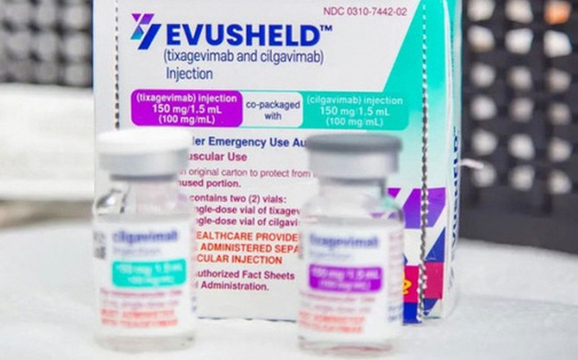 Bộ Y tế: EVUSHELD không phải là "siêu vaccine" để dự phòng COVID-19