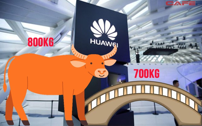 Câu hỏi phỏng vấn "cao siêu" của Huawei khiến người ta nhận ra: Muốn nhận lương tiền tỷ/năm đâu dễ, tư duy ít ra phải "có tầm" cỡ này