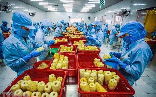 Xuất khẩu nhiều mặt hàng nông sản tăng đột biến Xuất khẩu nhiều mặt hàng nông sản tăng đột biến