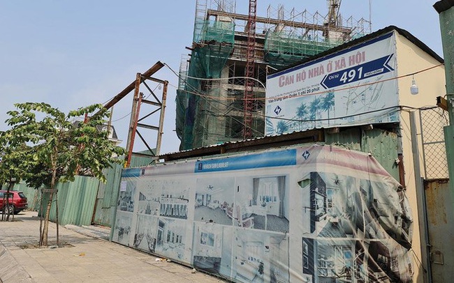 Doanh nghiệp BĐS từng gây "sốc" với căn hộ 240 triệu đồng giờ "sợ" làm nhà ở giá rẻ