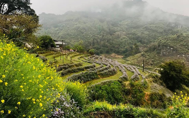 "Bỏ phố về rừng" lúc dịch, đến giờ, tôi bắt đầu hối hận vì phải di chuyển 2 tiếng đến nơi làm việc và về nhà khi trời đã tối