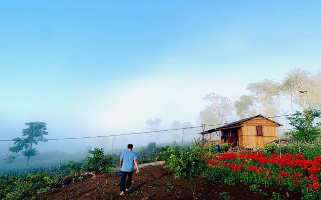 Xu hướng bỏ phố về rừng làm homestay, farmstay, đam mê thực sự hay chỉ là kinh doanh nhất thời? Xu hướng bỏ phố về rừng làm homestay, farmstay, đam mê thực sự hay chỉ là kinh doanh nhất thời?