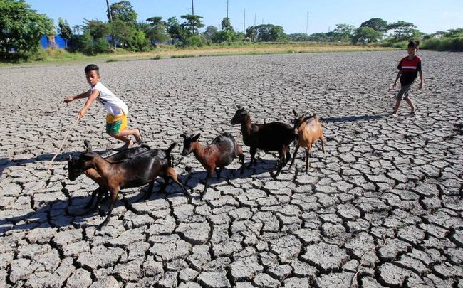 Biến đổi khí hậu là thách thức cấp bách nhất với ngành nông nghiệp Đông Nam Á