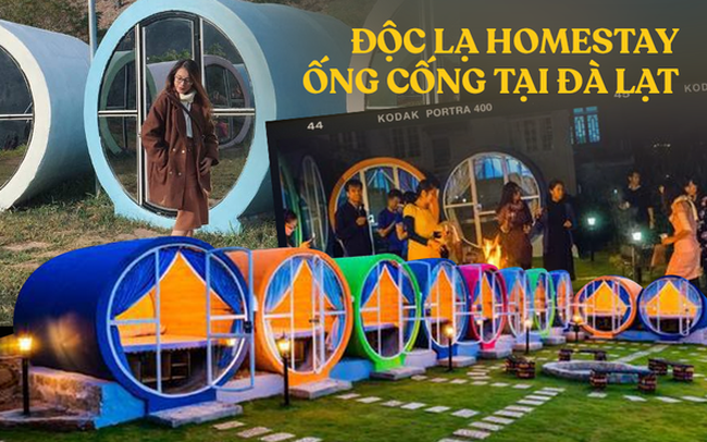 Homestay ống cống có 1-0-2 tại Đà Lạt: Biến lốp xe cũ thành cầu thang, ghế ngồi di động siêu tiện lợi, có muôn vàn góc ‘sống ảo’ cực phiêu!