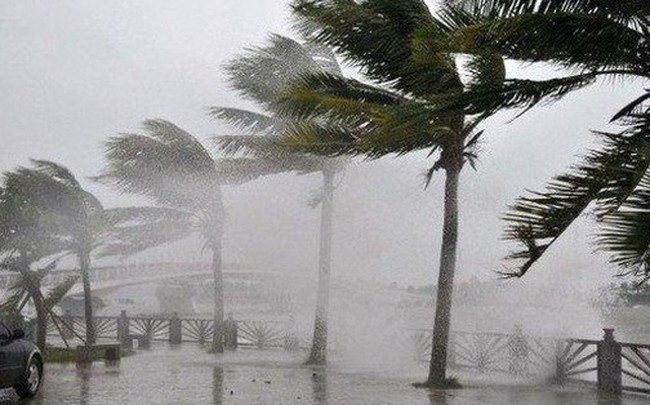 Biển Đông có thể đón thêm 8-10 cơn bão trong mùa mưa bão năm nay