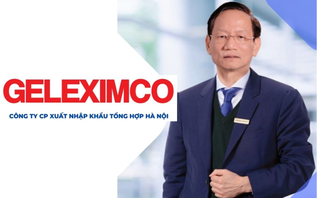 Geleximco trước khi làm ô tô: Hệ sinh thái đồ sộ từ BĐS, tài chính, Điện, giấy... đến nuôi lợn và trồng vải thiều