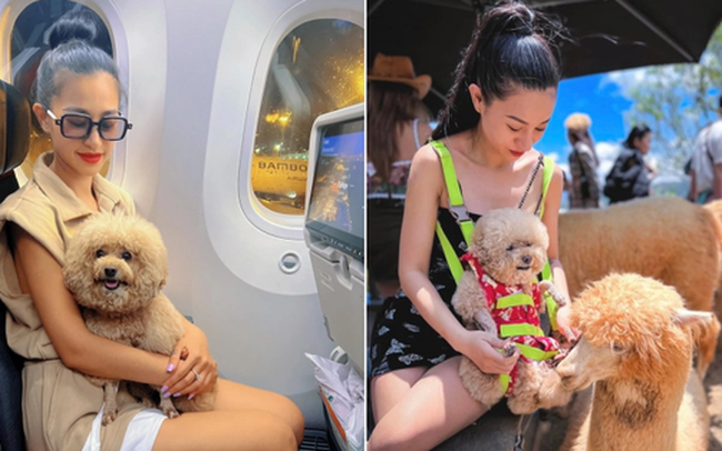 Trải lòng cô gái Việt chi tiền khủng đưa thú cưng lên máy bay đi châu Âu