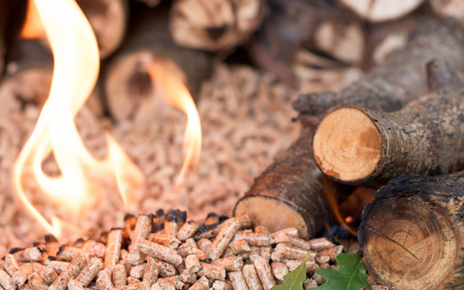 Giá viên nén gỗ tăng gấp đôi khi EU 'khát' năng lượng, một DN Việt lọt top 5 thế giới