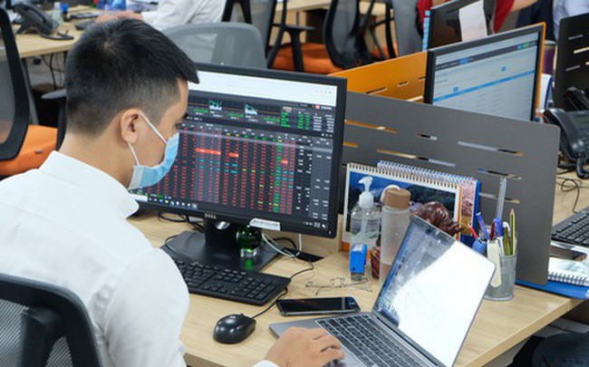 Cổ phiếu 'họ FLC' bị bán ồ ạt nhưng không người mua