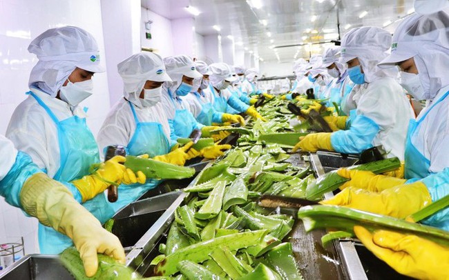 Triển vọng xuất khẩu Việt Nam năm 2023 - Bài 1: Tín hiệu tích cực