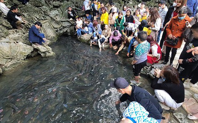 Hàng nghìn du khách đổ về thăm suối cá thần ngày cuối nghỉ Tết Nguyên đán Quý Mão
