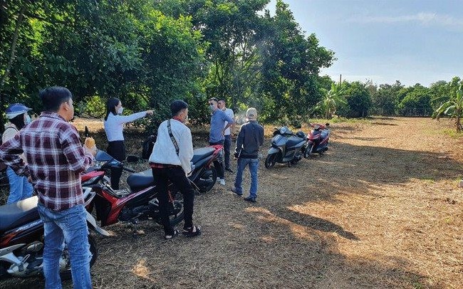 Qua rồi thời cứ có tiền mua đất nền là thắng, giờ giá đất đang giảm về mức trước khi xảy ra sốt đất