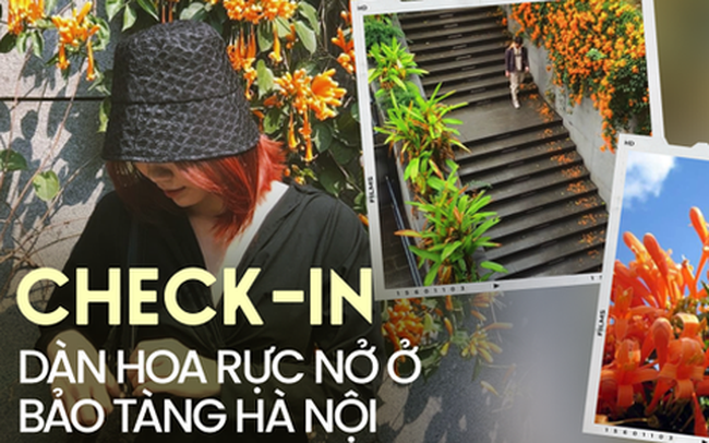 Những "đốm lửa" rực nở ở Bảo tàng Hà Nội tạo thành góc sống ảo mộng mơ hút chân giới trẻ đến check-in Những "đốm lửa" rực nở ở Bảo tàng Hà Nội tạo thành góc sống ảo mộng mơ hút chân giới trẻ đến check-in