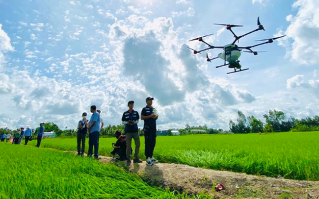 Công ty Việt dùng 3.000 máy bay không người lái phun thuốc trừ sâu cho đồng lúa, vườn sầu riêng: Chỉ 8.000-10.000 đồng/lít, tăng trưởng 100%/năm
