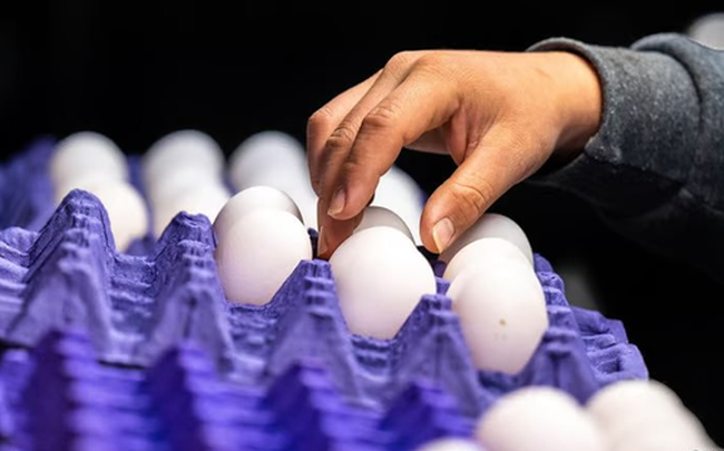 Dấu hỏi lớn đằng sau cơn ‘lạm phát trứng’ tại Mỹ: Cổ phiếu một công ty tăng 17%, doanh thu tăng 110% khi trứng khan hiếm