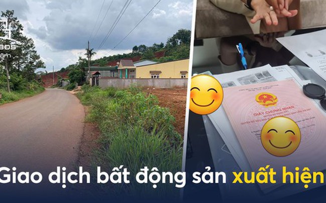 Xuất hiện giao dịch bất động sản giữa vùng núi đồi, nhà đầu tư “khấp khởi” hi vọng