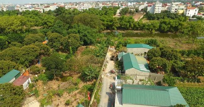 Gom đất nông nghiệp chờ chuyển đổi mục đích sử dụng hưởng lợi nhuận, nhà đầu tư có thể bị truy cứu trách nhiệm