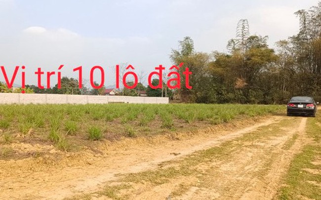 Môi giới rao bán đất nền cạnh tranh với Shark Thuỷ: “Chỉ 120 triệu đồng/lô, sổ đỏ đầy đủ, rẻ hơn 1/3 giá của Shark Thuỷ”