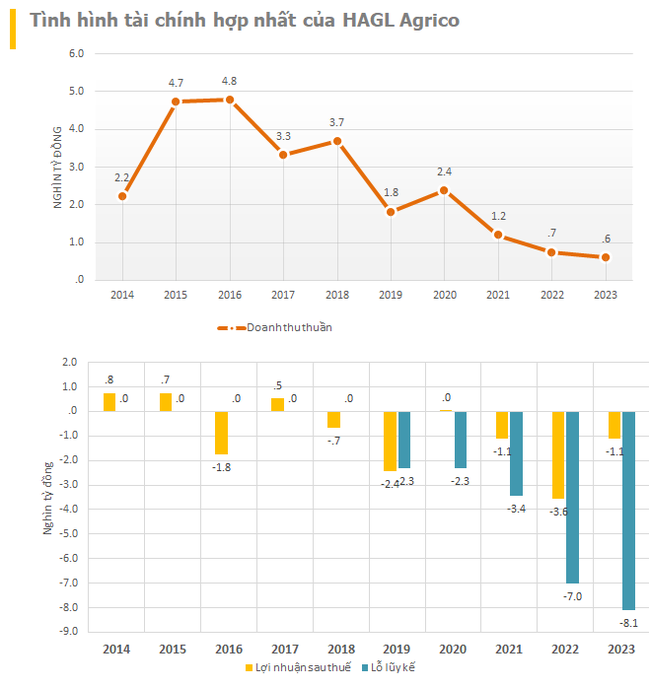 HAGL Agrico (HNG) bị hủy niêm yết bắt buộc- Ảnh 1.