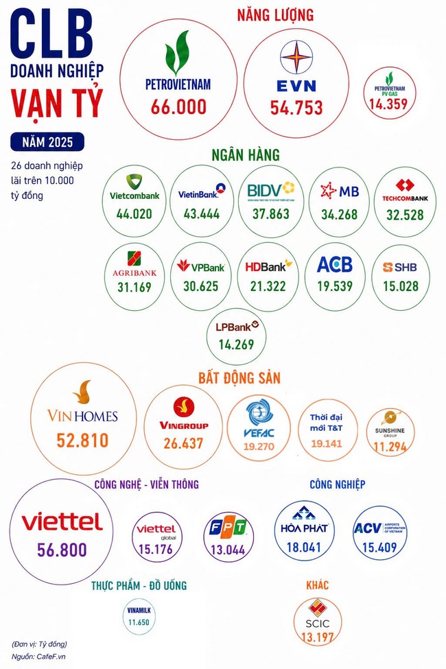 CLB doanh nghiệp Việt lãi vạn tỷ: Vinhomes lẻ loi giữa dàn doanh nghiệp Nhà nước ở top đầu, 12 đơn vị đạt cột mốc tỷ đô- Ảnh 2.